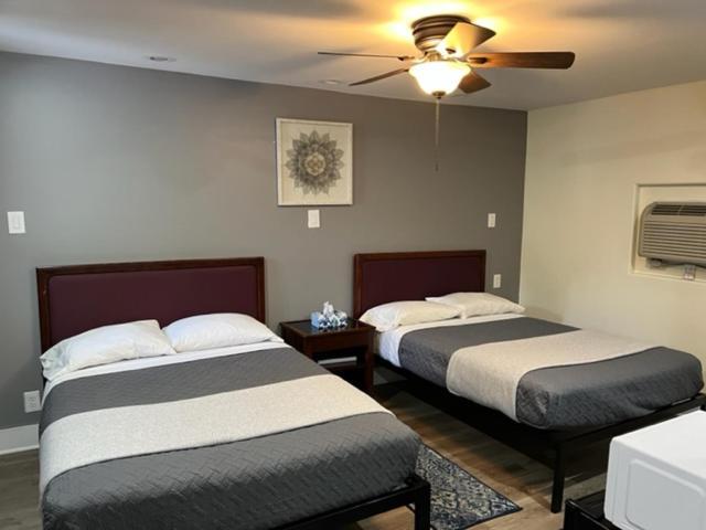 Nightshade Inn & Gardens Camillus المظهر الخارجي الصورة